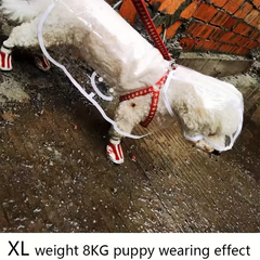 Transparent Waterproof Dog Raincoat for Small and Medium-Sized Dogs, Teddy and Bichon Frise Dog for Rainy Days Walking