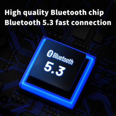 TRN BT20 Pro True Wireless Bluetooth 5.3 Earphone Module HiFi Earphone Upgrade Cable /MMCX Connector Replaceable Plug Ear Hook