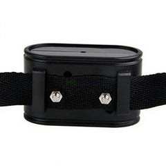 Electronic Fence Receiver Collar for W227 W227B In-ground Pet Dog Electric Fence Electronic Training Collar Accessories