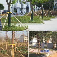 Practical Big Tree Growing Support Stake Bandage Landscape Tree Windproof Fixing Tripod Plastic Cups Greening Gardening Supplies