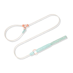 New Durable Nylon Pet P Chain Dogs Slip Training Lead Adjustable Puppy Dog Training Leash Collar For Small Medium Large Dogs