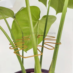 Large Monstera Plant Support Frame Sturdy Climbing Stems Leaf Stabilizer for Tall Houseplant Hanging Plant Stand Plants Holder