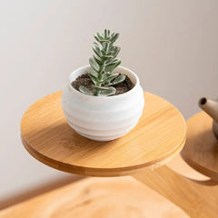 1pc Stable Bamboo Plant Stand Tree-Shaped Multi-Tier Flower Pot Holder Desktop Decor Flowerpot Tray Home Office