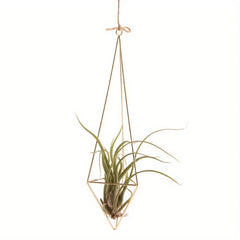 4 Air Plant Stands, Hanging Metal Geometric Stands, Plant Garden Stands, Suitable for Indoor Decoration, Holiday Displays