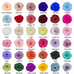 12-13pcs Peserved Roses in Heart Shape Box 100% Natural Long Last Real