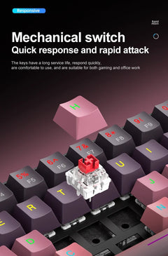 APAYADO™ 60% Mini Mechanical RGB Keyboard & Mouse Kit – Red Switches, 7200 DPI, Phantom RGB | FlipStylez LLC®