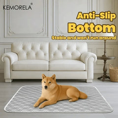 2PCS Washable Reusable Cat and Dog Urine Pads, Training Pads for