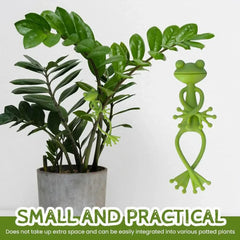6 pieces, 3 pieces, and 1 piece of green frog plant support and fixture, suitable for indoor and outdoor garden stem growth plan