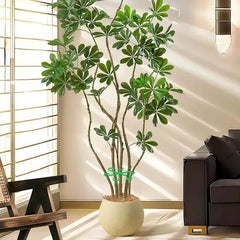 Flower Plant Stem Support Stakes Climbing Houseplant Stand Frame Plastic Garden No Stake Trellis Indoor Plant Holder Rack Hoops