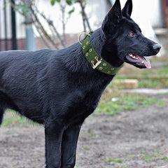 Heavy Duty Wide Military Thick Dog Collars for Large Dogs Adjustable Strong Nylon Tactical Pet Collar with 2-Rows Metal Buckle