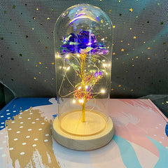 LED Valentine Day Gift For Girlfriend Eternal Rose Light 24K Gold Foil Flower In Glass Cover Mothers Day Wedding Bridesmaid Gift