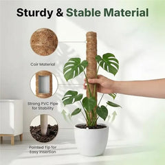 MOPHE-4-Piece Plant Stand Set - Plant Stumps For Indoor Climbing Plants - Coconut Shell Stumps And Rooftop, And Filodendrace