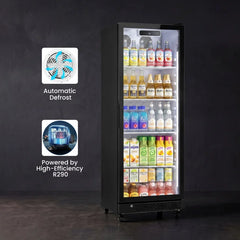 Commercial Upright Beverage Refrigerated Display Cabinet Refrigerator and Freezer Fresh-Keeping Vertical Single Door