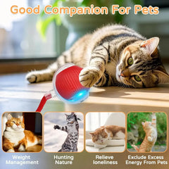 iLMH 1/2 PCS Cat Interactive Ball Toy Automatic Rolling Ball Faux Tail Rechargeable Smart Pet Electric Toy Pet Toy Imitate Mouse