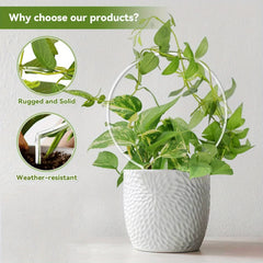Round transparent acrylic plant stand, suitable for indoor and outdoor use, suitable for small climbing plants, etc.