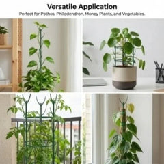 Potted Plant Support Piles Stackable Gardening Green Support Frame Climbing Vine Bonsai Fixing Rods Stakes Holder Support Racks