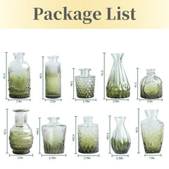 10/20pcs Mini Glass Vase Modern Clear Hydroponic Flower Vase Retro