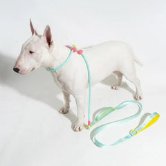 Double Handle Pet Dog Training Round Rope Light Weight Nylon P Chain Adjustable for Small Medium Dogs Walking Leash Pet Supplies