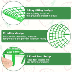 5/10Pcs Strawberry Plant Supports with 3 Sturdy Legs Strawberry Growing Racks Protector Frame Holder Cage From Mold Rot Dirt