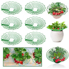 1/3pcs Round Strawberry Stand Anti-Corrosion Anti-Ground Strawberry