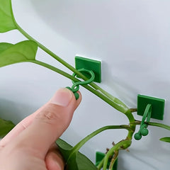 30pcs Invisible Plant Climbing Wall Hooks - Self-Adhesive, Reusable, Adjustable Vines Traction Holders for Indoor Outdoor Garden