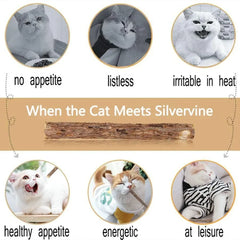 15pcs Natural Matatabi Cat Catnip Toy Kitten Molar Chew Stick Pet
