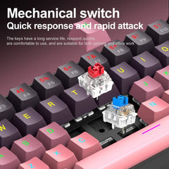 Mechanical keyboard and mouse set, 60% Portable Mini Wired Keyboard and Mouse combos, 61 Keys Phantom RGB keyboard and mouse kit