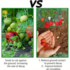 5/10/20pcs Strawberry Plant Supports with Three Sturdy Legs Provide Protection for Strawberries Against Mold, Rot, and Dirt