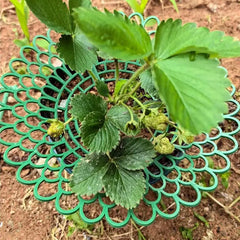 5pcs Green Strawberry Planting Racks, Watermelon Support Frames, 3-Legged Plant Protector, Easy Assembly Plant Accessories