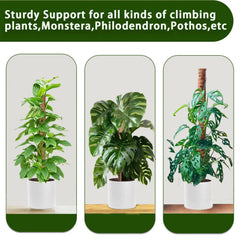 Moss Pole 38/43/53CM Monstera Plant Support Stackable Moss Poles for Plants Coir Totem Pole Tall Moss Pole for Climbing Plants