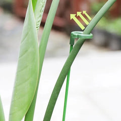 10pcs Potted Plant Support Racks Durable Floral Climbing Stands Home Garden Decor Gardening Tools