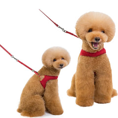 Pet Dog Walking Harness and Leash, Suitable for Puppies, Small to Medium Dogs, Ideal Choice for Training, Travel, and Daily Wear