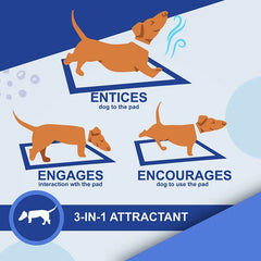NEW Absorbent Dogs Diapers Disposable Puppy 20/40/50/100PCS Training Pee Pads Quick Dry Surface Mat Clean Cushion Dog Supplies