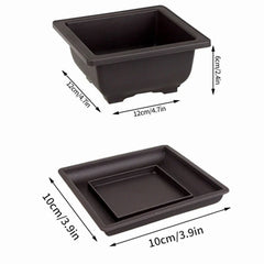 Rectangular Bonsai Training Pots Plastic Flowerpot with Drainage Tray Succulent Plants Pot Bonsai Plants Growing Pots Home Decor