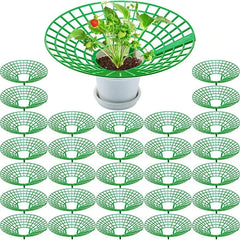 5/10Pcs Strawberry Plant Supports with 3 Sturdy Legs Strawberry Growing Racks Protector Frame Holder Cage From Mold Rot Dirt