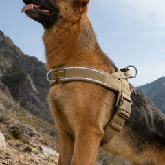 Tactical No-Pull Dog Harness for Large Breed: Heavy-Duty Vest with Reflective Strip, Adjustable & Padded for Control and Pullers