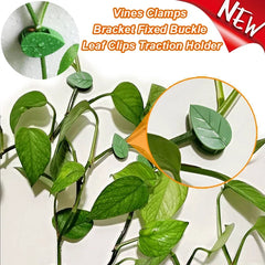 20pcs Plant Climbing Wall Fixture Rattan plants growth climb traceless vine fixing tool Self-Adhesive Green Clip Traction Holder