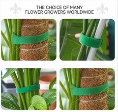 Tutors for Plants Self-adhesive Plant Nylon Cable Tying Climbing Plant Support Green Fastener Tape Reusable Care Garden Supplies