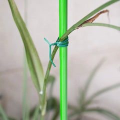 20/50/100m Garden Cable Ties Plant Climbing Lines Plant Twist Ties Power Wire Loop Tape Flower Plant Support Strap Tie