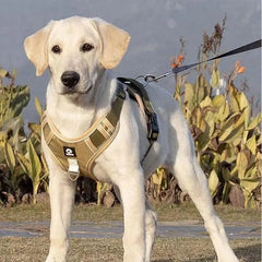 Dog Harness Reflective Midium Large Dogs Tactical Vest Adjustable Harness Oxford Cloth Vest Training Hound Pet Accessoires