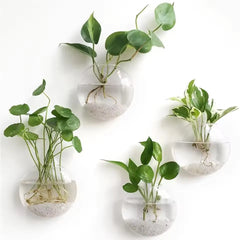 2/4/6/8 Pack Wall Hanging Glass Terrarium - Self-Watering Hydroponic