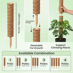MOPHE-4-Piece Plant Stand Set - Plant Stumps For Indoor Climbing Plants - Coconut Shell Stumps And Rooftop, And Filodendrace