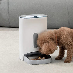Automatic dog food dispenser with insect-proof seal and timed feeding; 4 meals/10-cup pet food dispenser