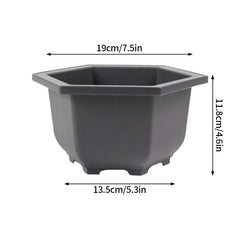 Rectangular Bonsai Training Pots Plastic Flowerpot with Drainage Tray Succulent Plants Pot Bonsai Plants Growing Pots Home Decor