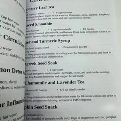 The Holistic Home Apothecary Families English Paperback 1000+ Natural Herbal Remedies Wellness Handbook Free Shipping