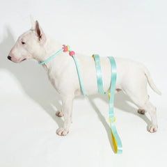 Double Handle Pet Dog Training Round Rope Light Weight Nylon P Chain Adjustable for Small Medium Dogs Walking Leash Pet Supplies