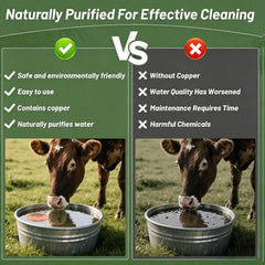 Horse drinking trough cleaner livestock drinking trough bird bathtub dual-use Animal Purification Disc 4 Inches Copper Purifier