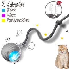 2Pcs Cat Interactive Ball Toys Automatic Rolling Ball Faux Tail Rechargeable Smart Pet Electric Toy Cat Training Imitate Mouse