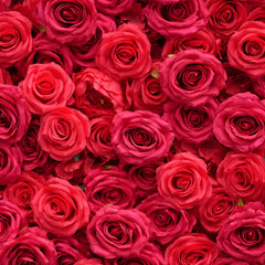 Angela Flower Red Rose Creative Love Heart Floral Wall Cloth Base Flower Arrangement Wedding Backdrop Frame Proposal Decor A7699