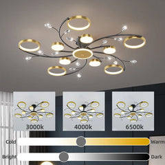 IRALAN Modern LED Chandeliert round chandelier Living room  lights smart remote control chandelier  room Interior Kitchen light
